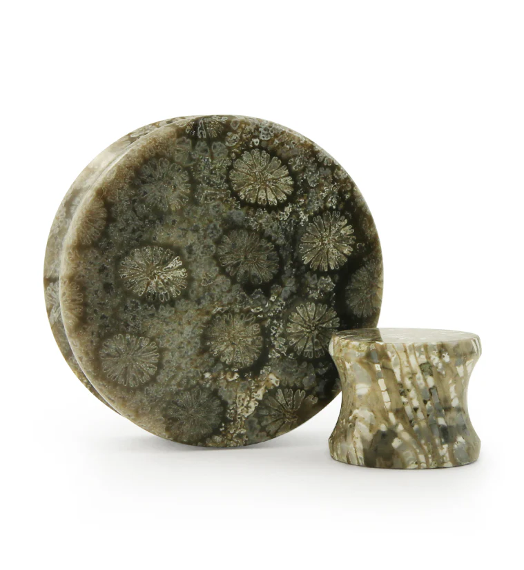 Blue Fossilized Coral Stone Plugs - Mrs Treak