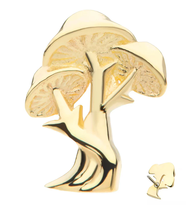 14kt Gold Triple Mushroom Threadless Top - Mrs Treak