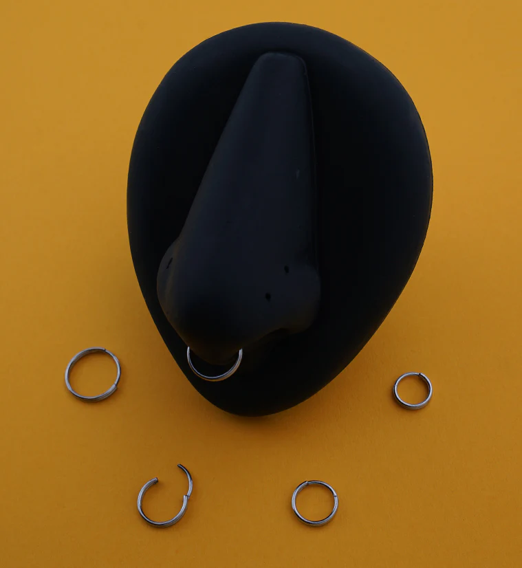 Double Row Stainless Steel Hinged Segment Ring - Mrs Treak