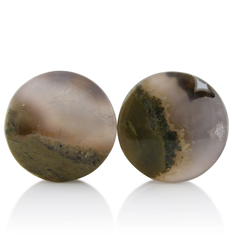 Blue Forest Petrified Wood Plugs 1 Inch (25mm) Version 1 - Mrs Treak