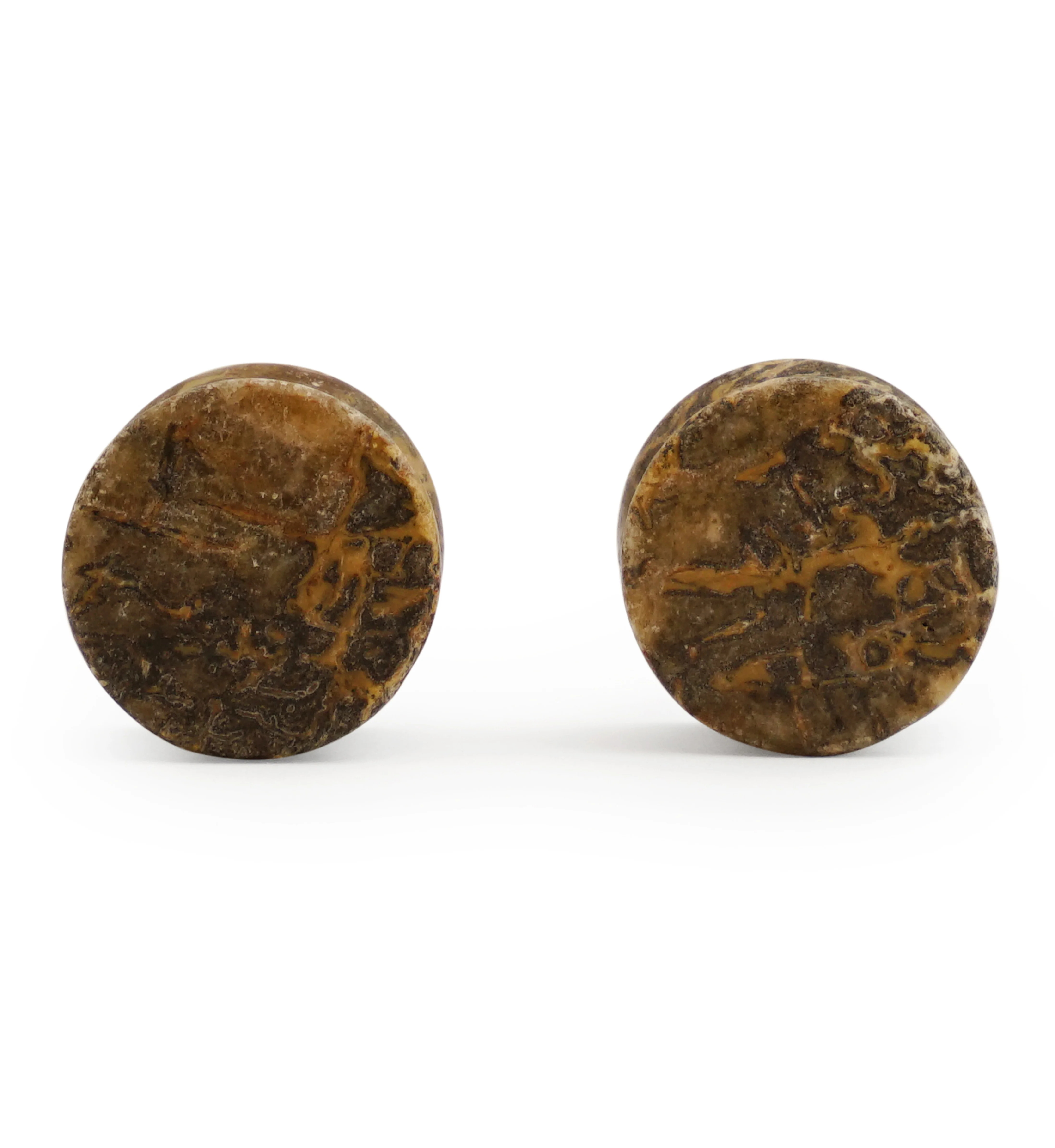 Fossilized Dinosaur Bone Plugs 5/8