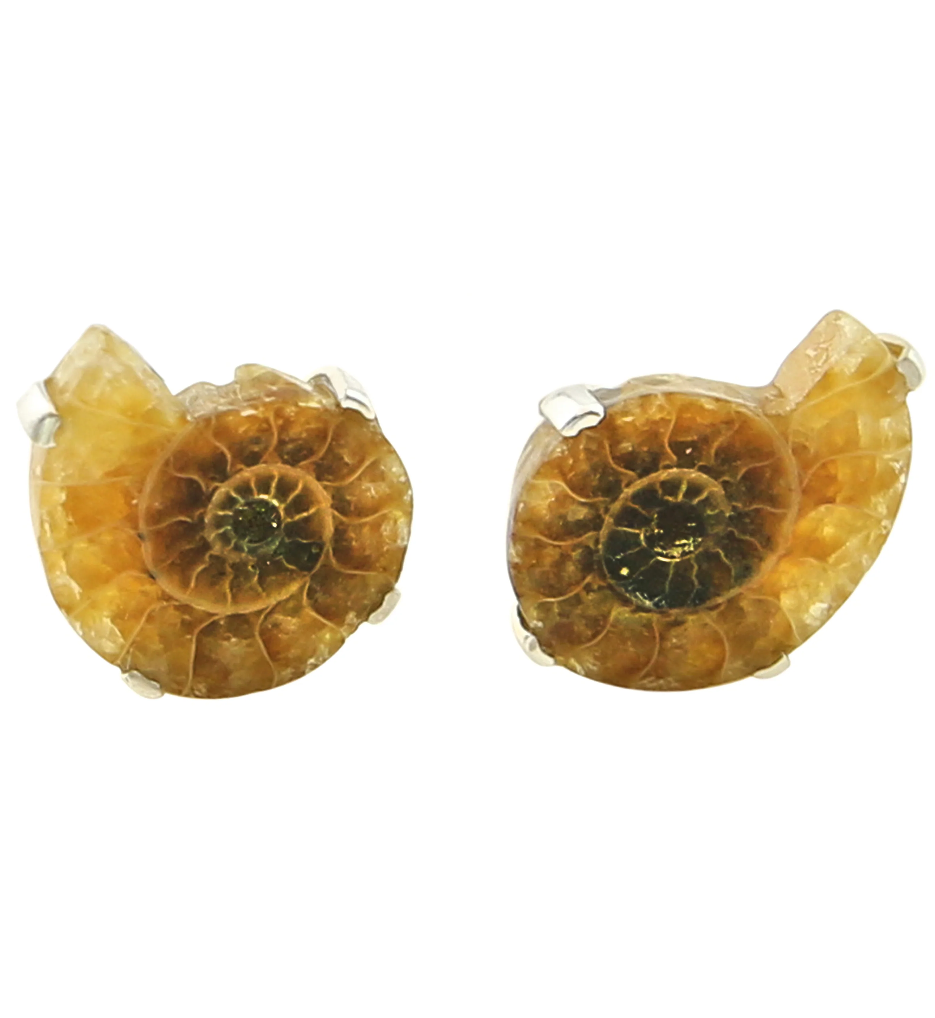 Ammonite Prong Set Sterling Silver Earrings - Mrs Treak