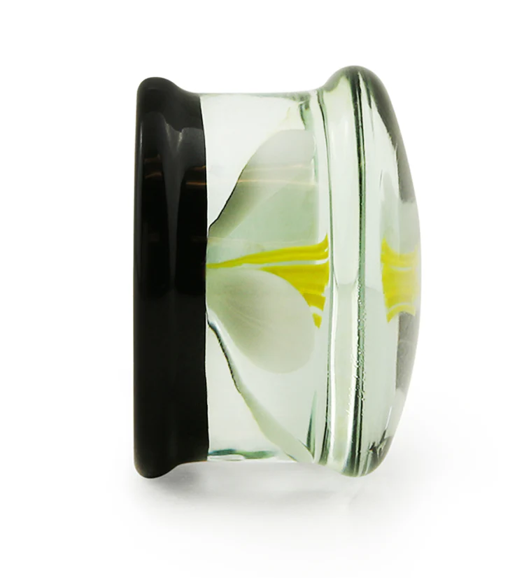 White Poppy Flower Black Glass Double Flare Plugs - Mrs Treak