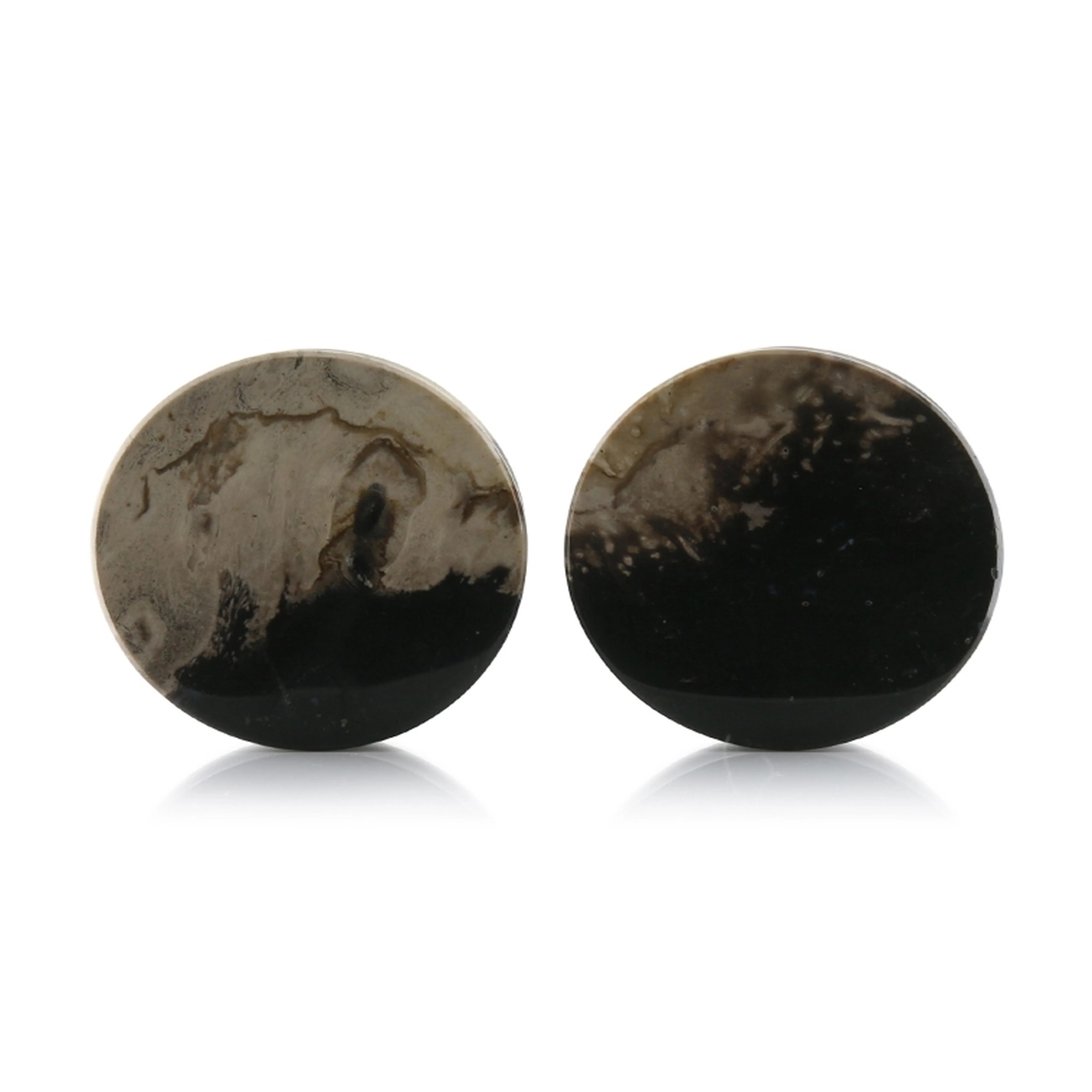 Petrified Palm Root Plugs 1 & 3-64