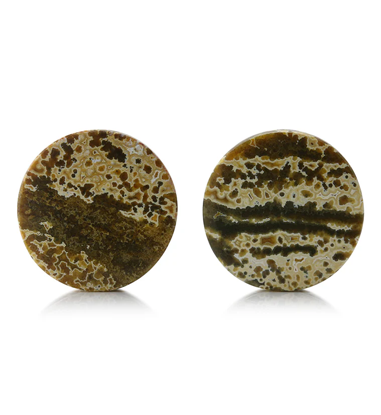 Ocean Jasper Stone Plugs 1 & 1/8