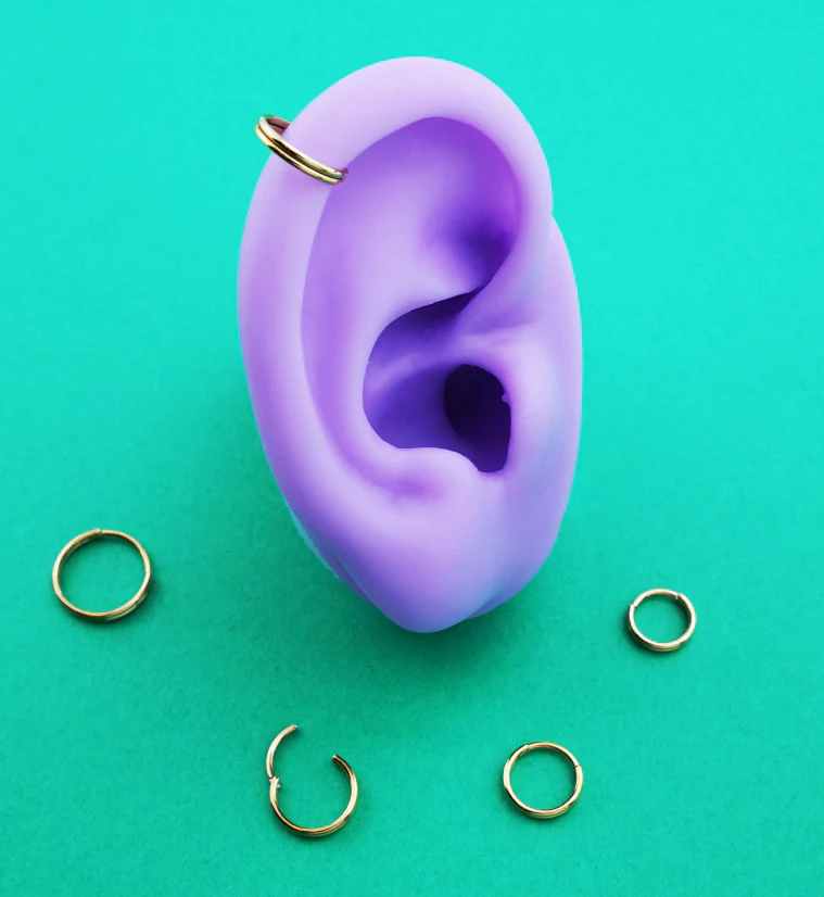 Gold PVD Double Row Stainless Steel Hinged Segment Ring - Mrs Treak