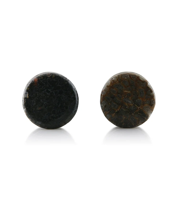 Fossilized Dinosaur Bone Plugs 1-2