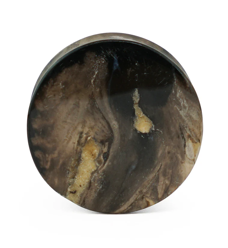 Black Flame Petrified Palm Root Plugs - Mrs Treak