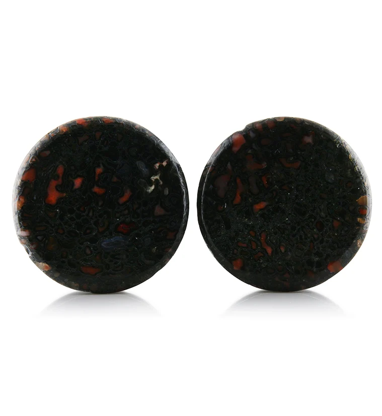 Fossilized Dinosaur Bone Plugs 1 Inch (25mm) Version 5 - Mrs Treak