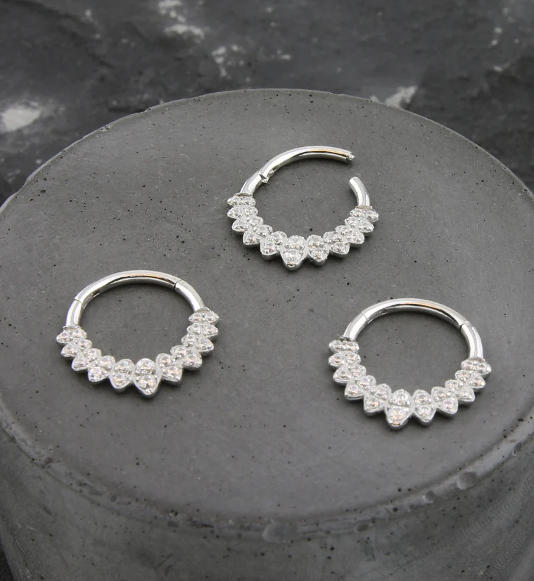 Riviere Clear CZ Stainless Steel Hinged Segment Ring - Mrs Treak