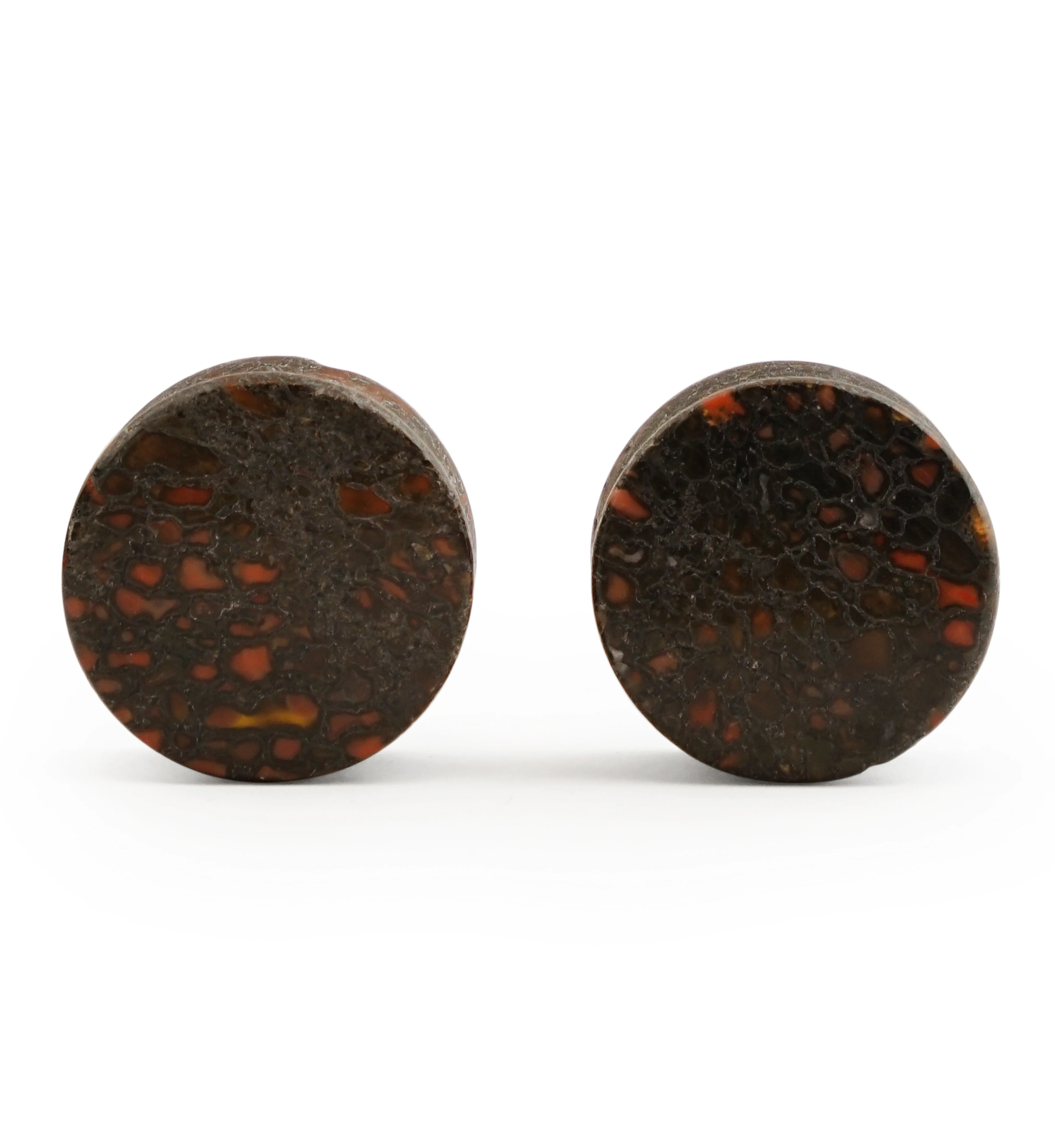 Fossilized Dinosaur Bone Plugs 3/4
