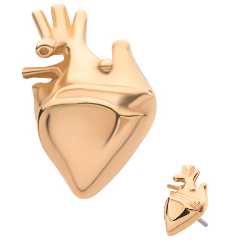 14kt Gold Heart Threadless Top - Mrs Treak