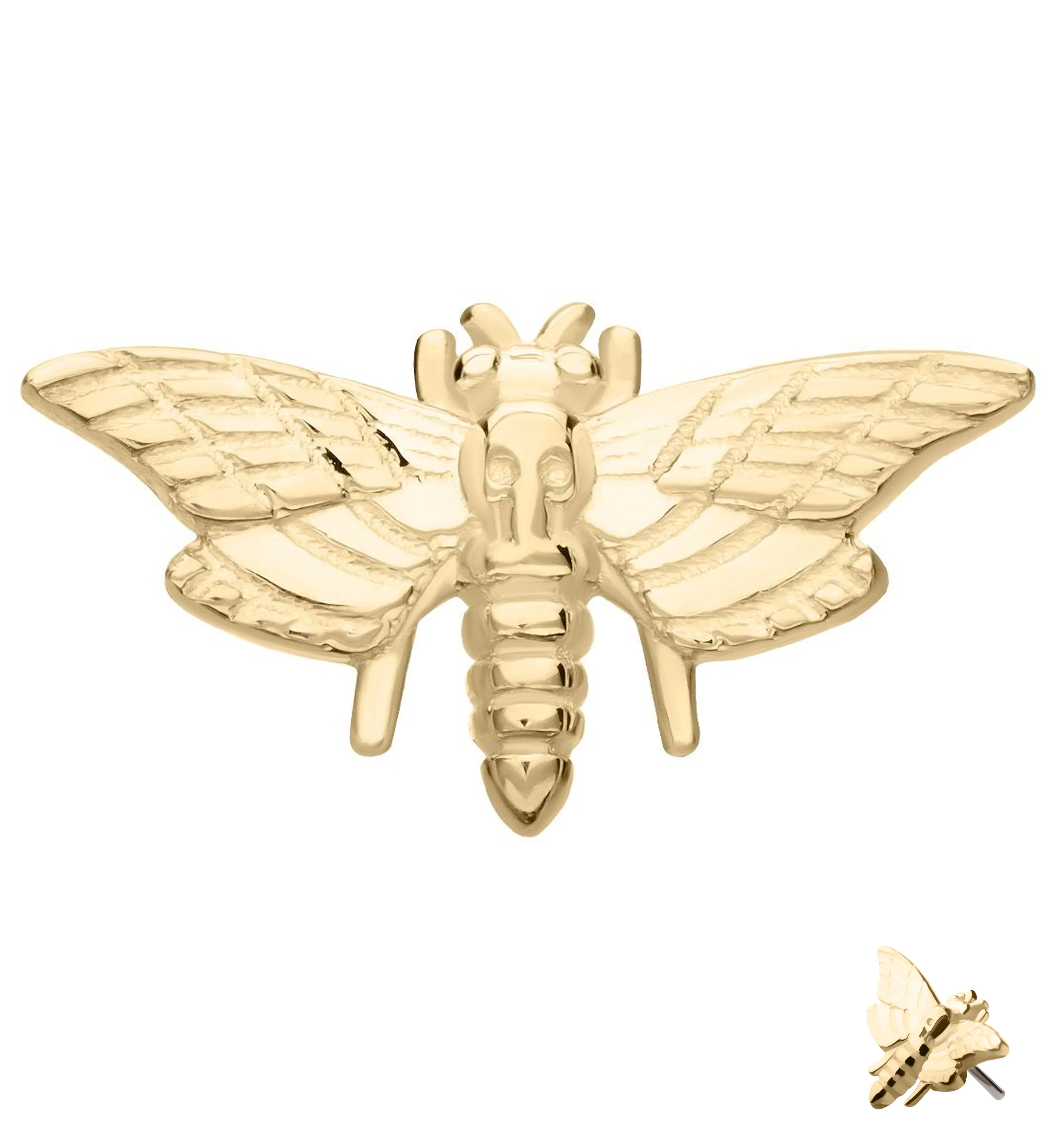 14kt Gold Death Moth Threadless Top - Mrs Treak