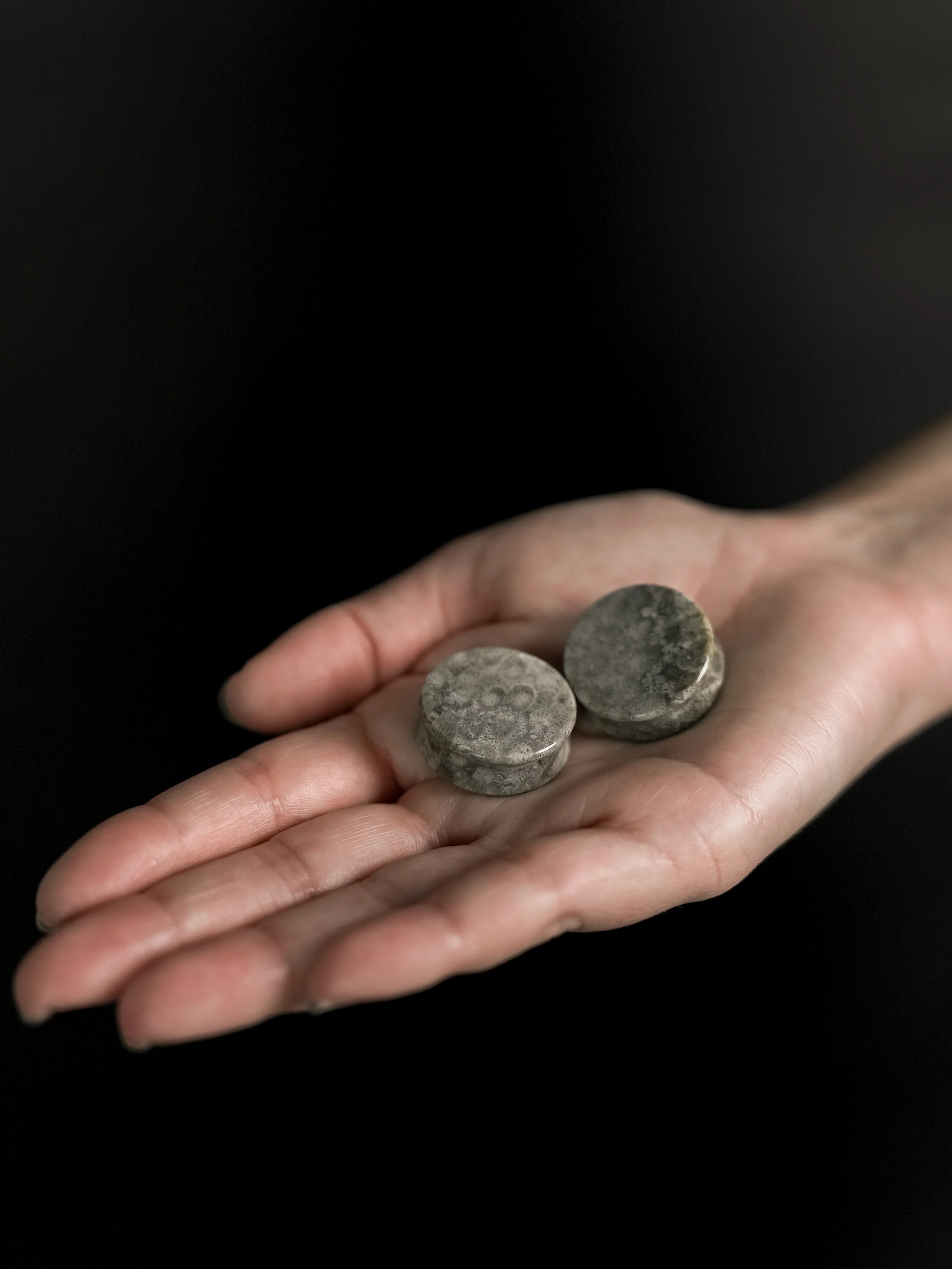 Blue Fossilized Coral Stone Plugs - Mrs Treak
