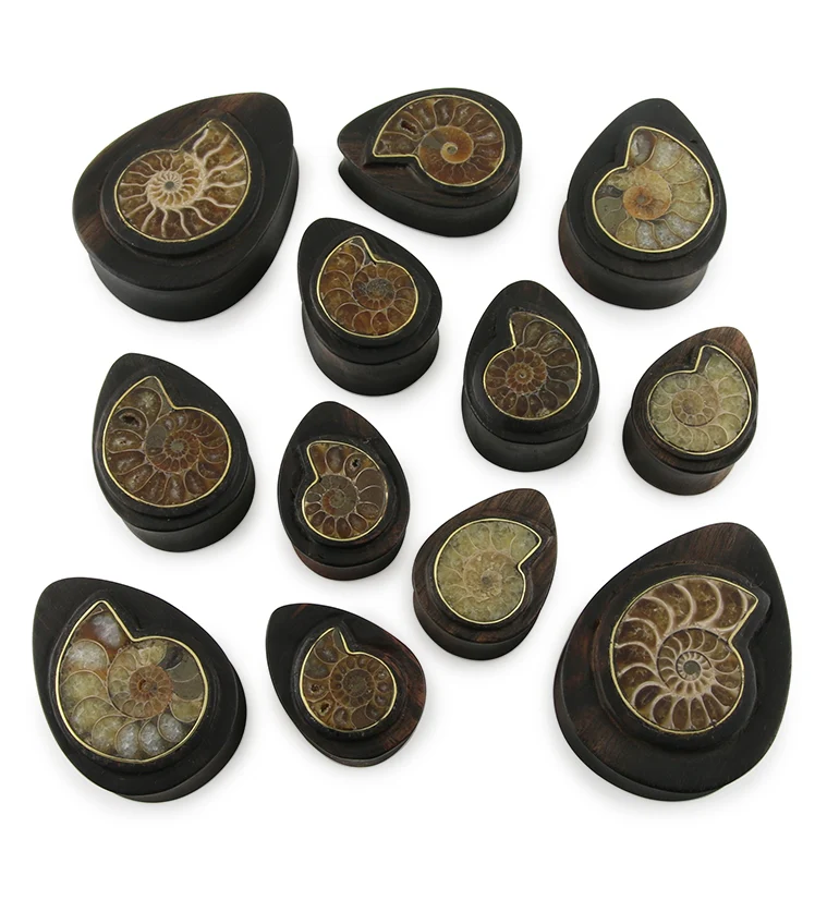 Areng Wood Teardrop Plugs with Ammonite Inlay - Mrs Treak
