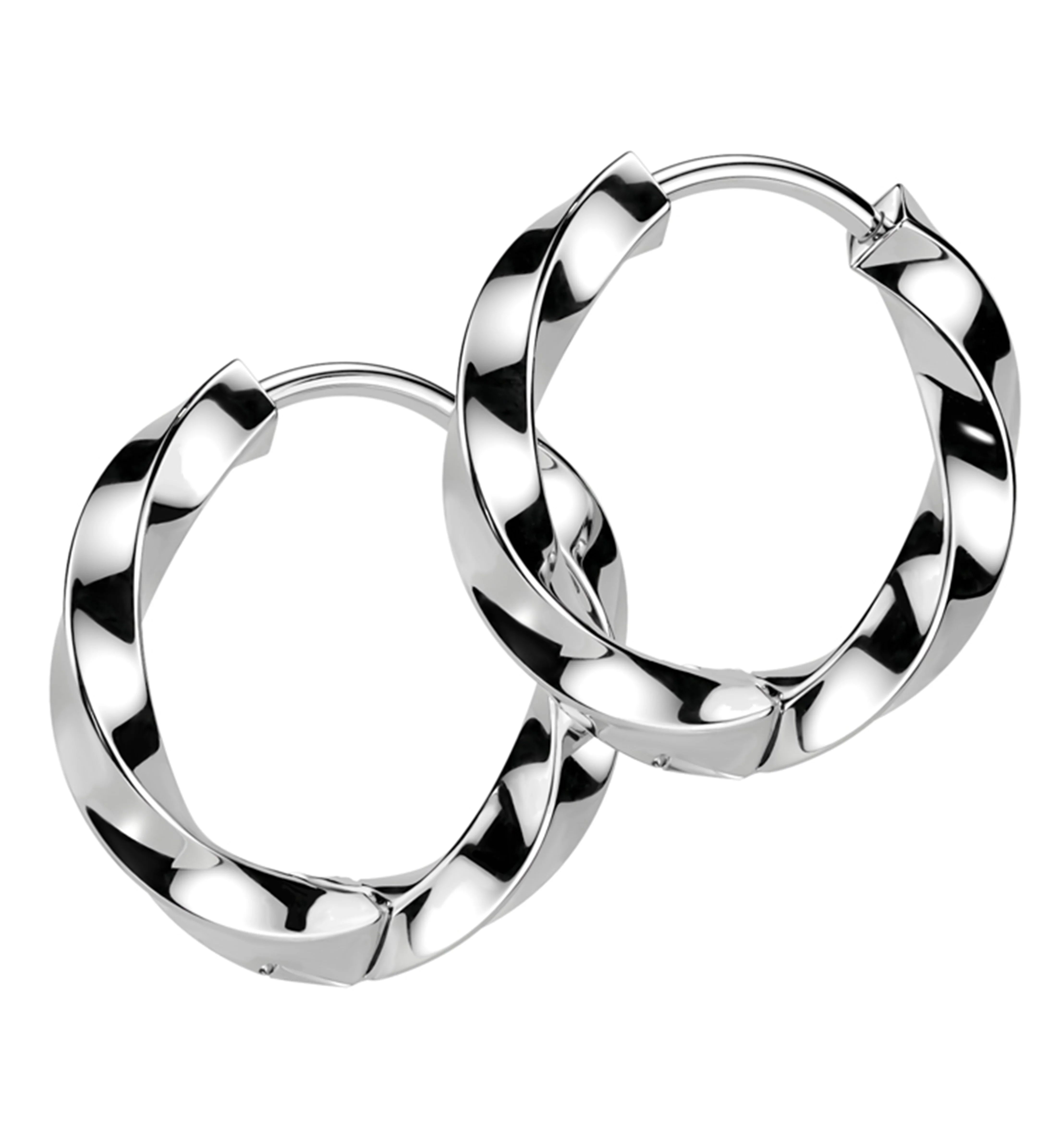 Twisted Hoop Stainless Steel Hinged Earrings - Mrs Treak