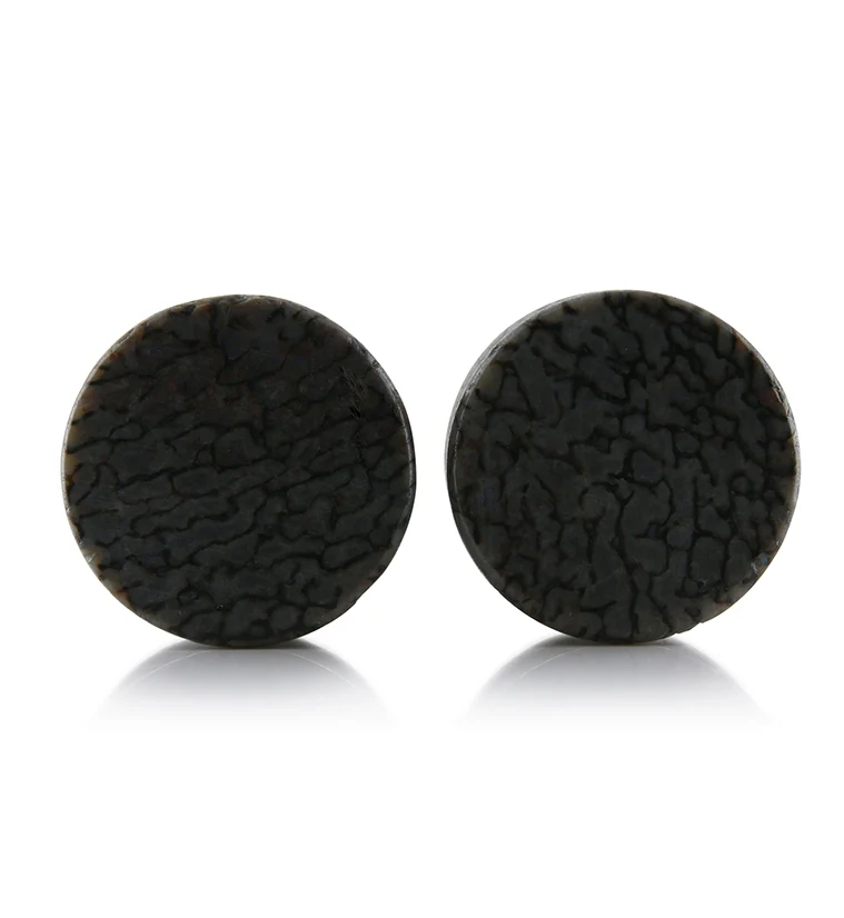 Fossilized Dinosaur Bone Plugs 3-4