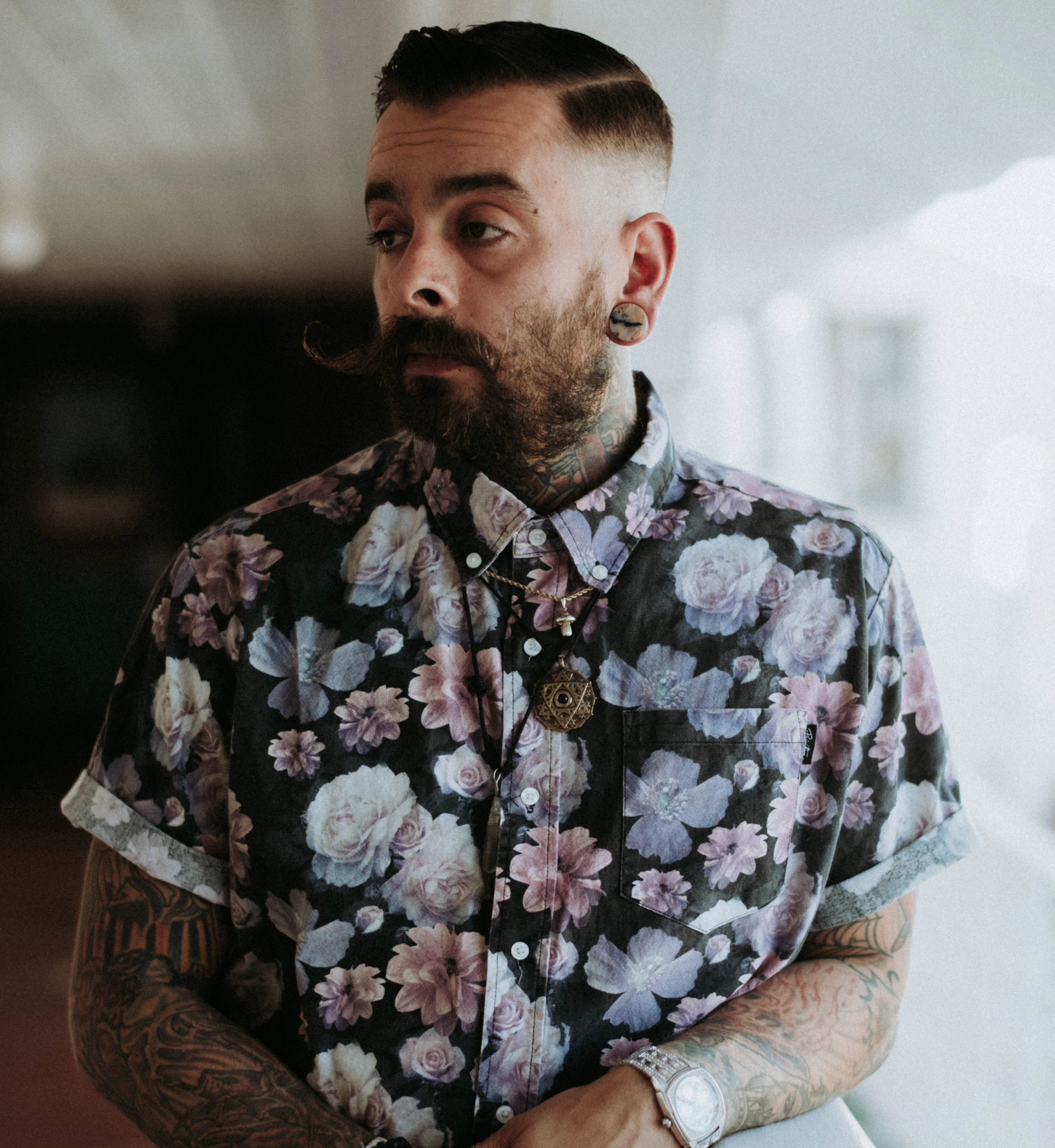 Tiger Agate Dendritic Stone Plugs - Mrs Treak