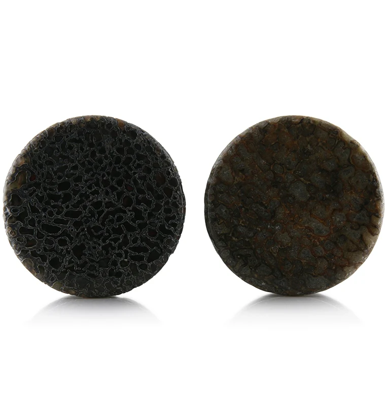 Fossilized Dinosaur Bone Plugs 1 Inch (25mm) (Mismatched color) Version 1 - Mrs Treak