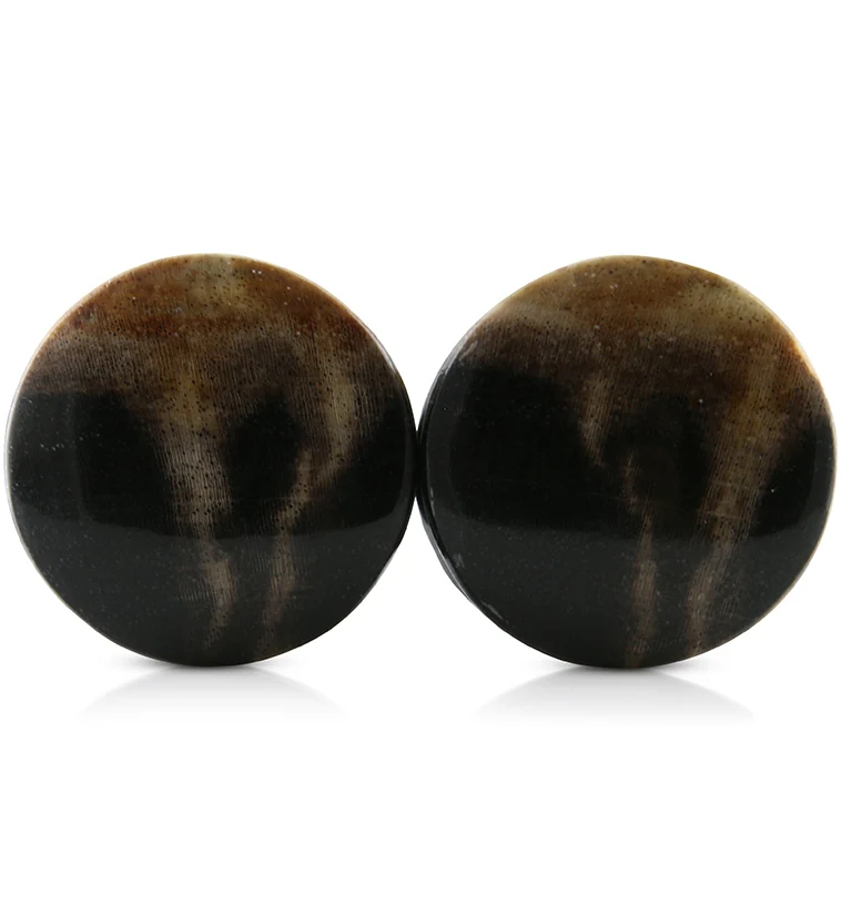 Petrified Wood Plugs 1 Inch (25mm) Version 5 - Mrs Treak