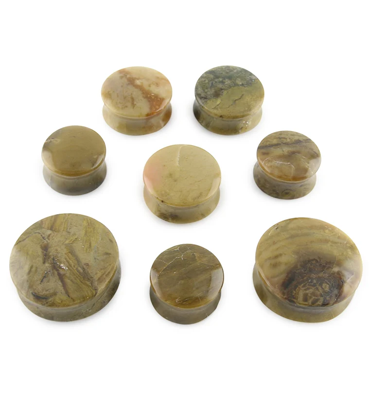 Blue Forest Petrified Wood Plugs - Mrs Treak