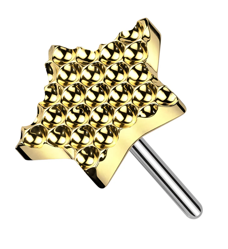 Gold PVD Beaded Star Titanium Threadless Top - Mrs Treak