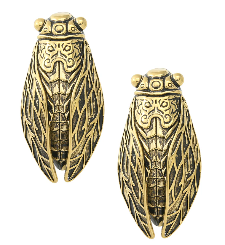 Cicada Gold PVD Stainless Steel Ear Weights - Mrs Treak